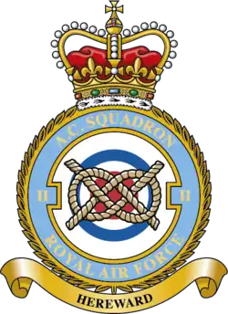 Squadron badge