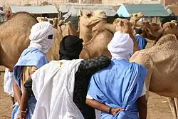 Image 3Camel market in Nouakchott (from Mauritania)