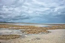 Beach in Japaratinga