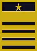 Flight suit sleeve insignia