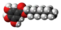 Space-filling model of the octyl gallate molecule