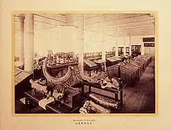 The University Museum, c. 1900