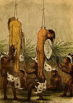Two young, naked men with long black hair holding shields are suspended from the ceiling by piercings embedded in their skin, weighed down by four buffalo skulls each on strings held to the body with piercings in the flesh, as men of the tribe spin them around and others watch