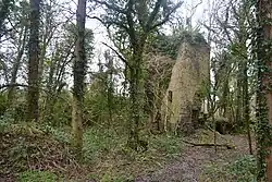 the ruins of a house in woodland