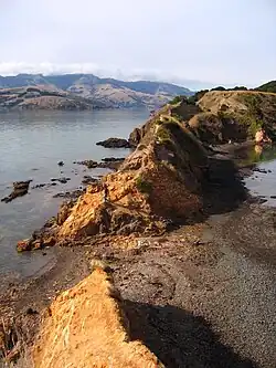 Ōnawe Peninsula in 2007