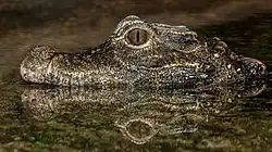 Karlsruhe Zoo, Germany