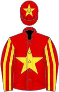 Red, yellow star, striped sleeves, yellow star on cap