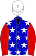 Blue, white stars, red sleeves, white cap