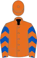 Orange, Royal Blue chevrons on sleeves