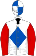White, royal blue diamond, red sleeves, royal blue and white quartered cap