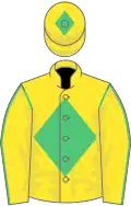 Yellow, emerald green diamond on body and cap, yellow sleeves, emerald green seams