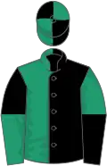 Black and emerald green (halved), reversed halved sleeves, quartered cap