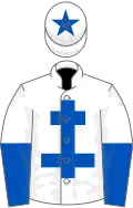 White, royal blue cross of lorraine, halved sleeves, star on cap