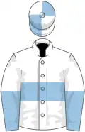White, light blue hoop, halved sleeves, quartered cap