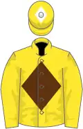 Yellow, brown diamond, white diamond on cap