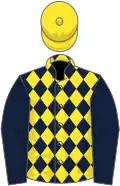 Dark blue and yellow diamonds, dark blue sleeves, yellow cap