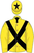Yellow, black cross belts and star on cap