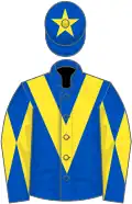 Royal blue, yellow chevron, diabolo on sleeves and star on cap