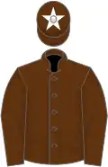 Brown, brown sleeves, brown cap, white star