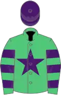 Emerald green, purple star, hooped sleeves, purple cap