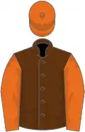 Brown, orange sleeves and cap