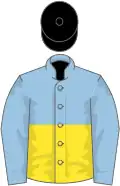 Light blue and yellow (halved horizontally), light blue sleeves, black cap