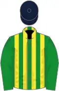 Green and yellow stripes, green sleeves, dark blue cap