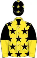 Yellow, black stars, black and yellow halved sleeves, black cap, yellow stars