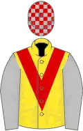Yellow, red chevron, silver sleeves, yellow stripe, silver and red checked cap