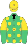 Emerald green, yellow spots, yellow and emerald green halved sleeves, yellow cap