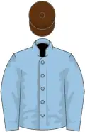 Light blue, brown cap