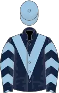 Dark blue, light blue chevron, chevrons on sleeves, light blue cap