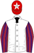 White, maroon and purple striped sleeves, red cap, white star