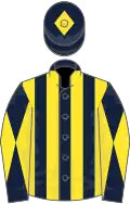 Dark Blue and Yellow stripes, diabolo on sleeves, Dark Blue cap, Yellow diamond