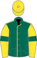 Dark green, yellow seams, yellow sleeves, dark green armlets, yellow cap
