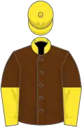 Brown, yellow collar and cap, halved sleeves