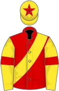 Red, yellow sash, yellow sleeves, red armlets, yellow cap, red star