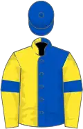 Royal blue and yellow (halved), yellow sleeves, royal blue armlets, royal blue cap