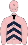 Pink, dark blue chevrons, pink sleeves and cap