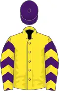 Yellow, purple and yellow chevrons on sleeves, purple cap