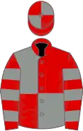 Red and grey (quartered), hooped sleeves