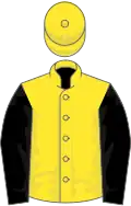 Yellow, black sleeves