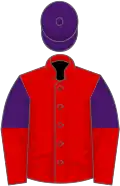 Red, purple and red halved sleeves, purple cap