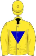 Yellow, blue inverted triangle