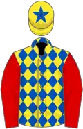 Yellow and royal blue diamonds, red sleeves, yellow cap, royal blue star