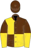 Brown and yellow (quartered), halved sleeves, brown cap