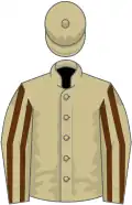 Beige, brown striped sleeves