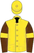 Yellow, brown sleeves, yellow armlets and cap