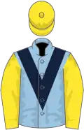 Light blue, dark blue chevron, yellow sleeves and cap