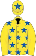 Yellow, royal blue stars, yellow sleeves, yellow cap, royal blue star